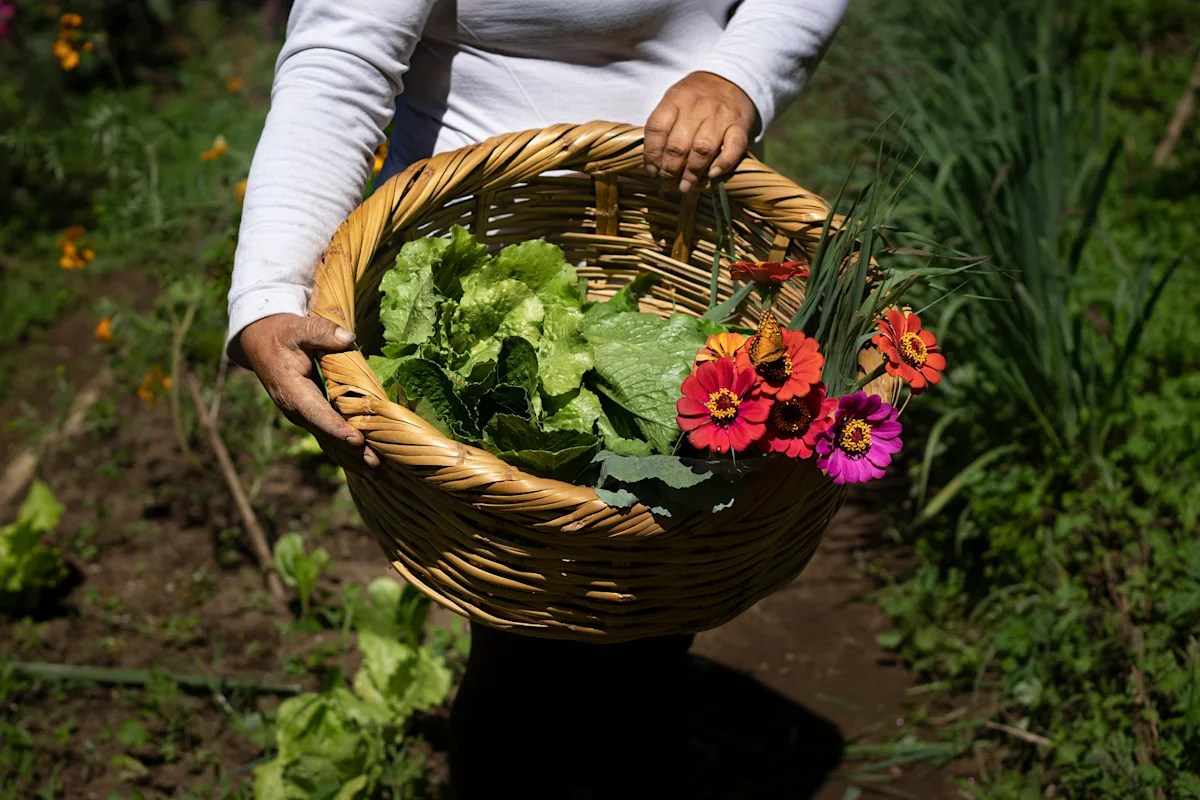 ElEquimite_biodiversity