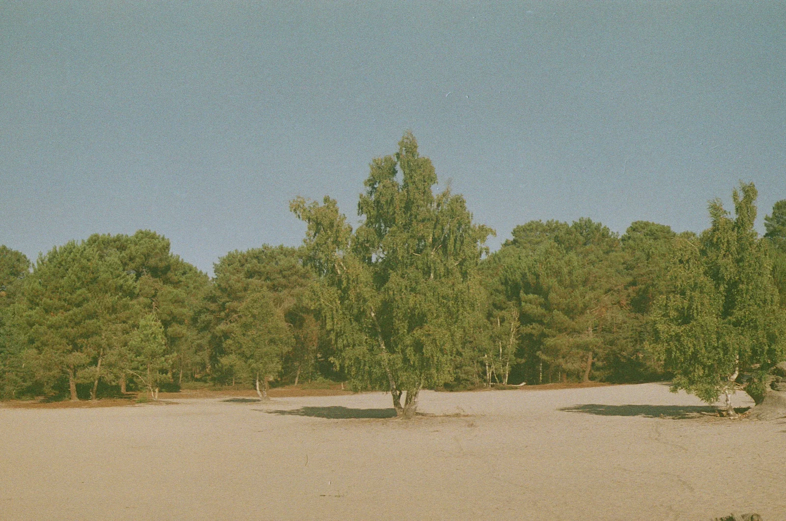 scene setting for goodlids blog hero