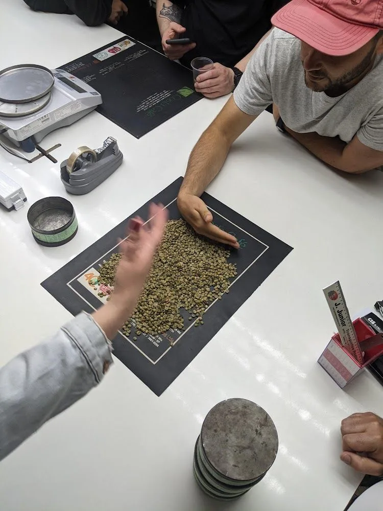 Brazil_OriginTrip_Cupping Costa Café