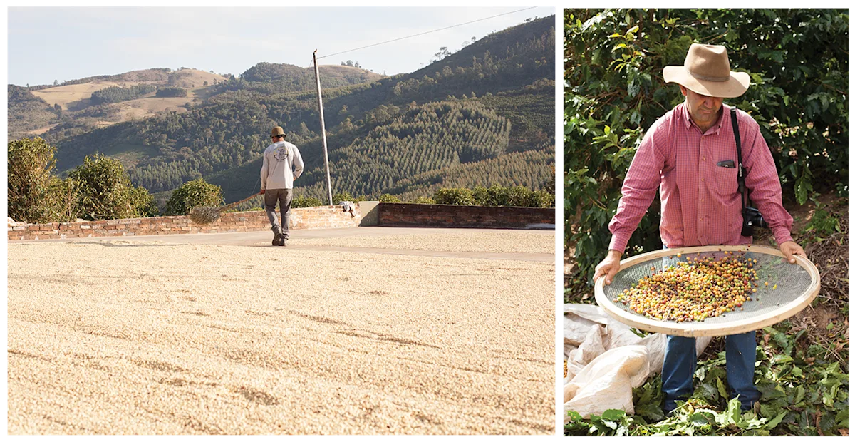 Coffee Origin collage